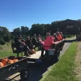 Butler Tree Farm photo