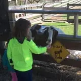 Butler Tree Farm photo