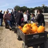 Butler Tree Farm photo
