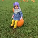 Butler Tree Farm photo