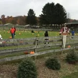 Butler Tree Farm photo