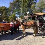Butler Tree Farm photo