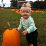 Butler Tree Farm photo