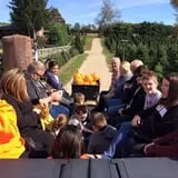 Butler Tree Farm photo