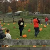 Butler Tree Farm photo