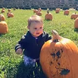 Butler Tree Farm photo