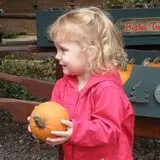 Butler Tree Farm photo