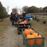 Butler Tree Farm photo