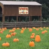 Butler Tree Farm photo
