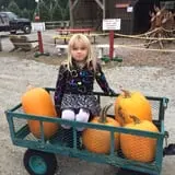 Butler Tree Farm photo