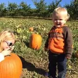 Rose Hill Farm photo