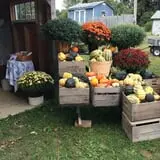 Rose Hill Farm photo
