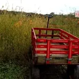 Rose Hill Farm photo