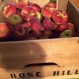 Rose Hill Farm photo