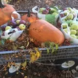 Rose Hill Farm photo