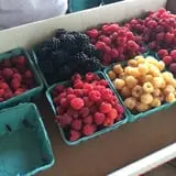 Rose Hill Farm photo