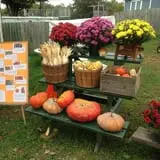 Rose Hill Farm photo