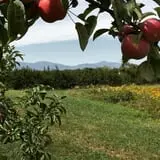 Rose Hill Farm photo