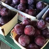 Rose Hill Farm photo