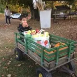 Rose Hill Farm photo