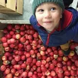 Rose Hill Farm photo