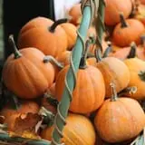 Rose Hill Farm photo