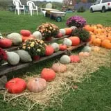 Rose Hill Farm photo