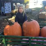 Rose Hill Farm photo