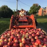 Rose Hill Farm photo