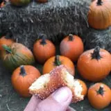 Rose Hill Farm photo