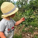 Rose Hill Farm photo