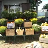 Rose Hill Farm photo