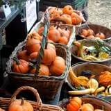 Rose Hill Farm photo