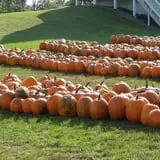 Eveland Family Farm photo