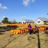 Eveland Family Farm photo