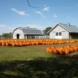 Eveland Family Farm photo