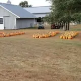 Eveland Family Farm photo