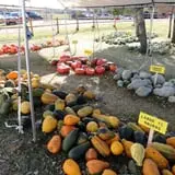 Eveland Family Farm photo