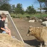 Eveland Family Farm photo