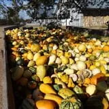 Eveland Family Farm photo