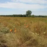 Eveland Family Farm photo