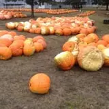 Eveland Family Farm photo