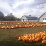 Eveland Family Farm photo