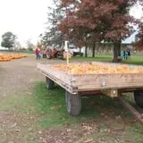Eveland Family Farm photo