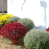 Eveland Family Farm photo