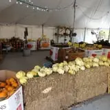 Eveland Family Farm photo