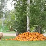 Eveland Family Farm photo
