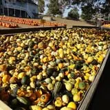 Eveland Family Farm photo