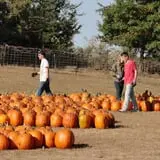Eveland Family Farm photo