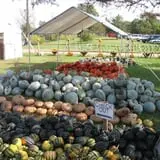 Eveland Family Farm photo